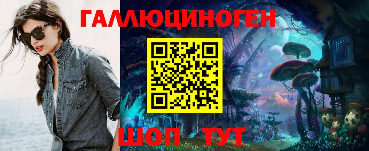 где купить наркоту  Вход с VPN  Новоуральск  Псилоцибиновые грибы Psilocybine cubensis 